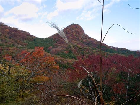 撫倉山|宮城七ツ森 撫倉山/たがら森･遂倉山･鎌倉山。